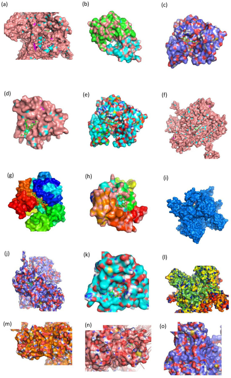 Figure 10