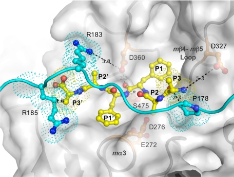 FIGURE 5.