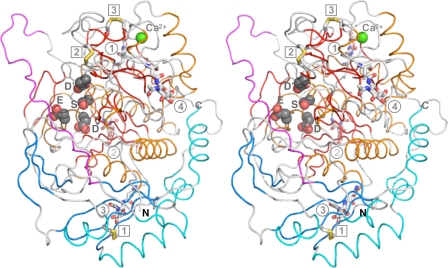 FIGURE 3.