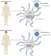 FIG 1