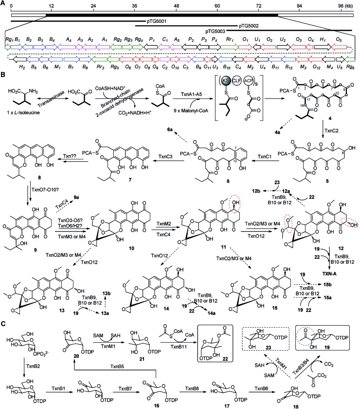 Fig. 3