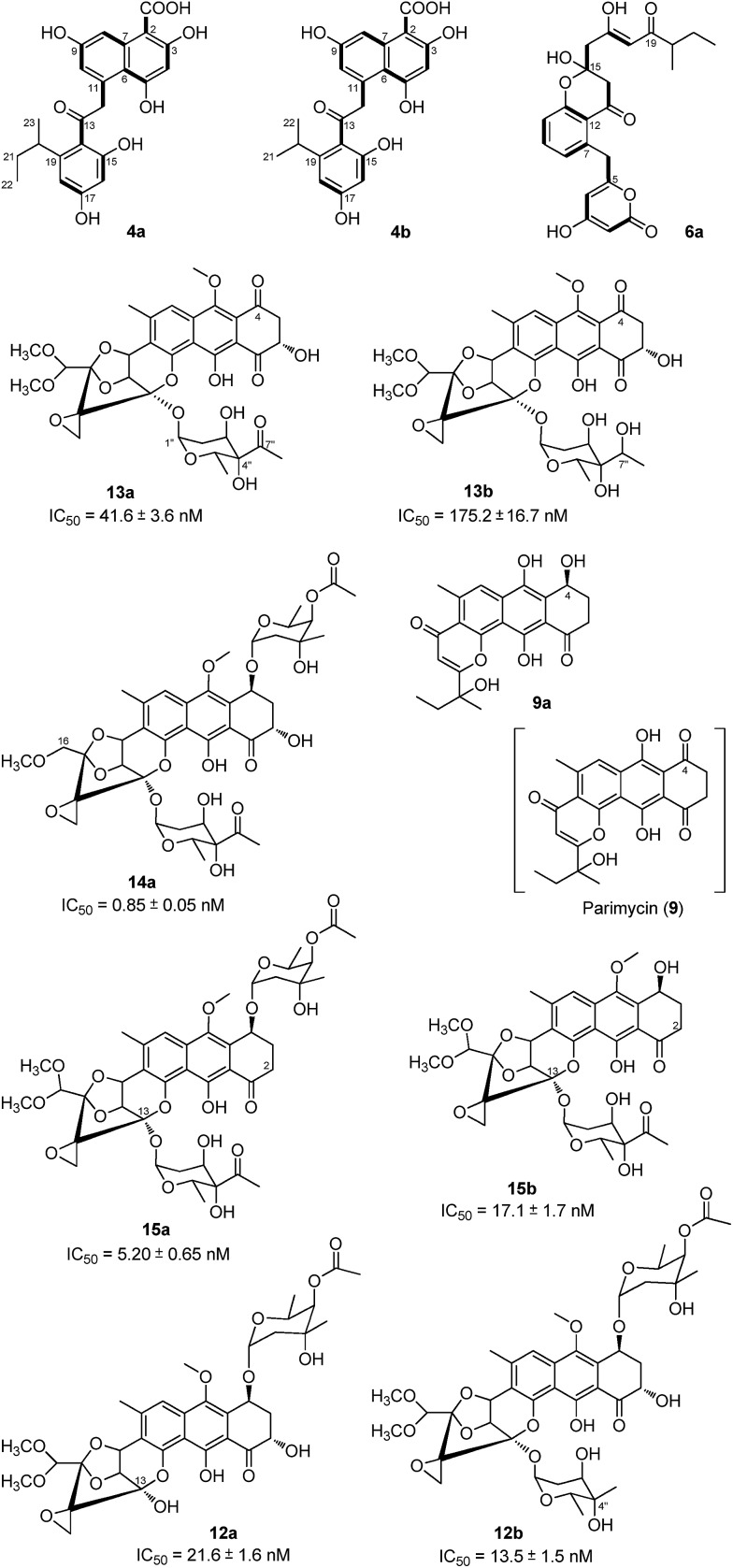 Fig. 5