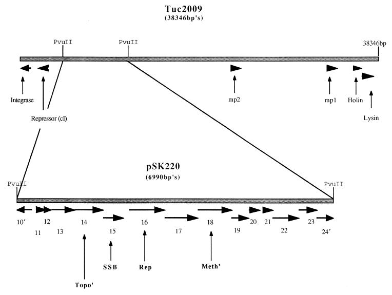 FIG. 1