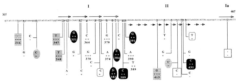 FIG. 6