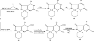 Scheme 3