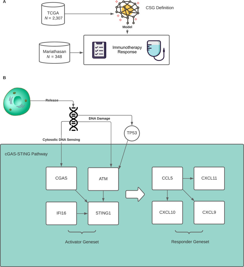 FIGURE 1