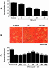 Fig. (1)