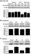 Fig. (4)
