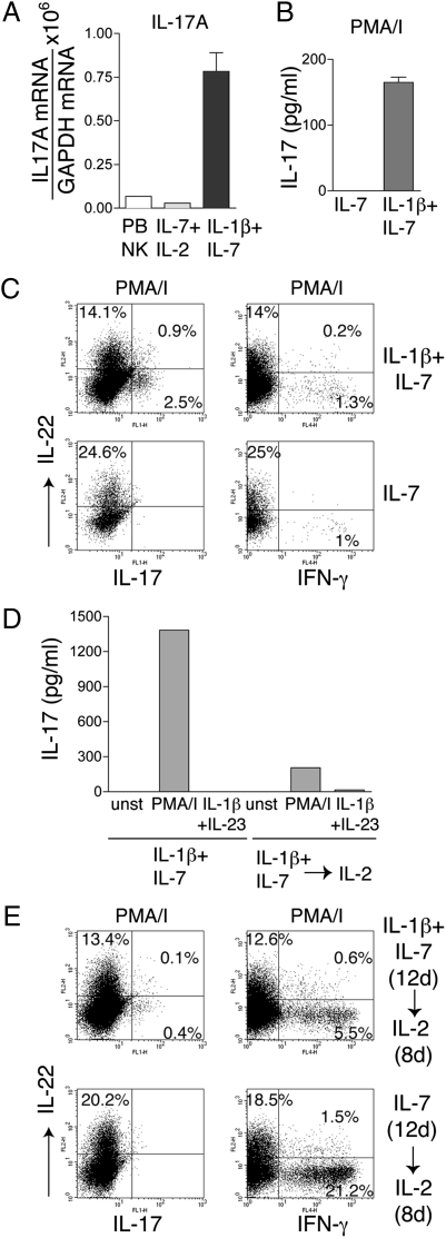 Fig. 5.