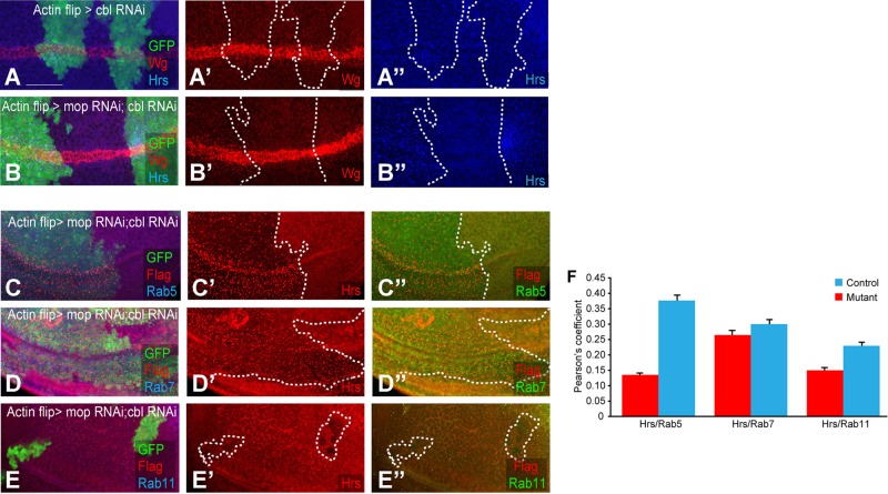 FIGURE 6: