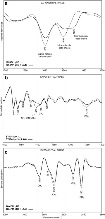 Fig. 3