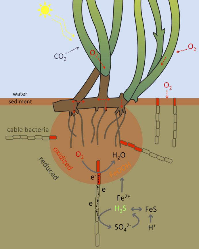 Figure 6.