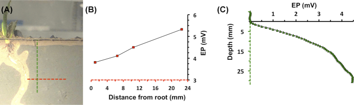 Figure 5.