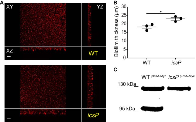 FIG 6