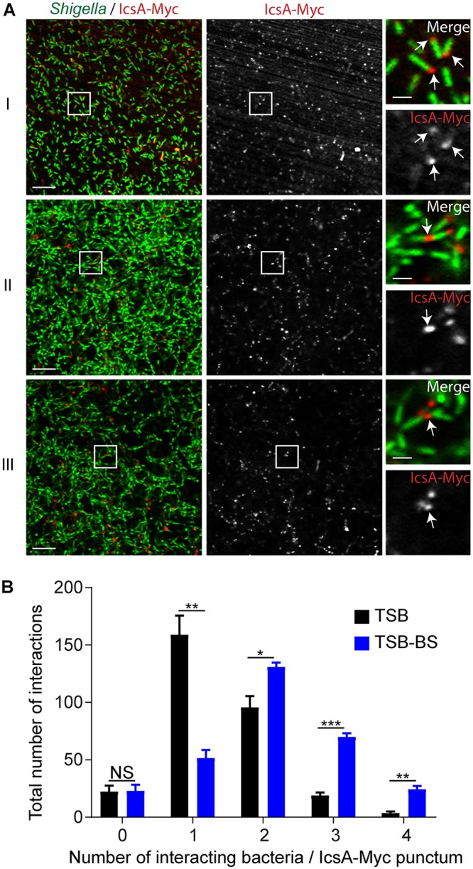 FIG 3