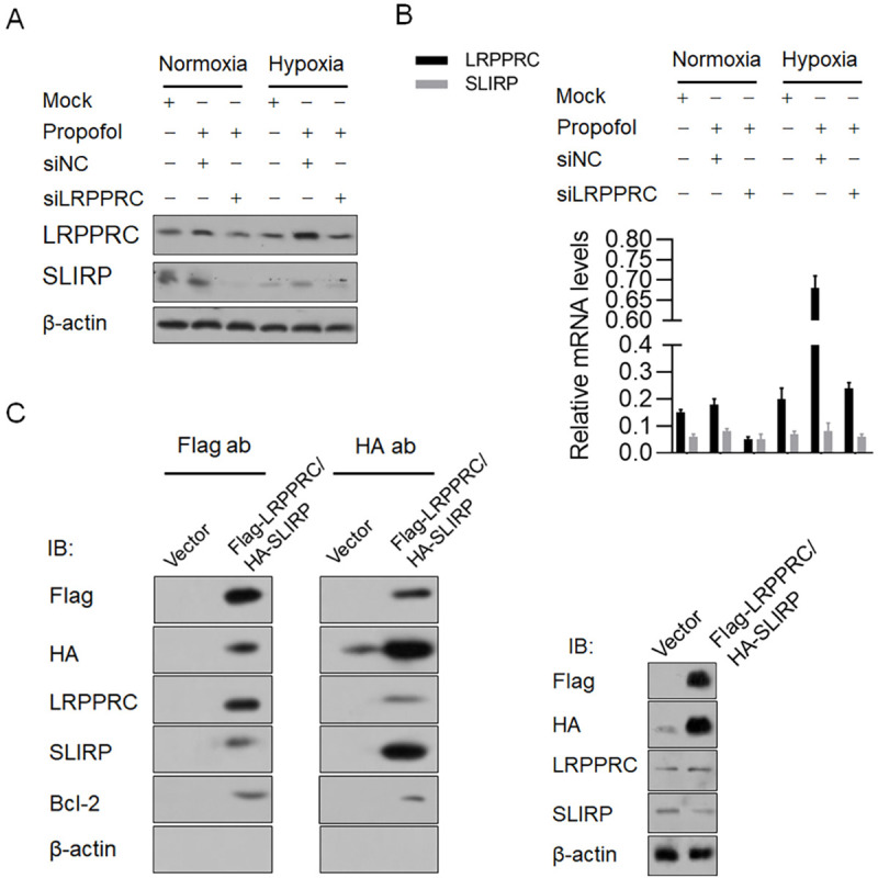 Fig 8