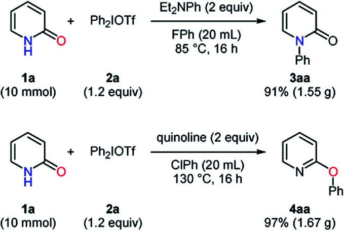 Scheme 3
