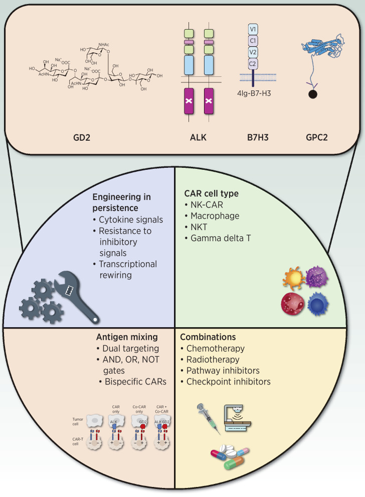 Figure 2. Enhancing CAR-T cell sensitivity and specificity. Schematic of technological solutions to enhance CAR-T cell sensitivity and specificity. Representative neuroblastoma tumor antigens that are currently under clinical and preclinical evaluation are indicated at the top. At the bottom are the categories of approaches for enhancing functionality of CAR-T cells that are relevant to neuroblastoma.