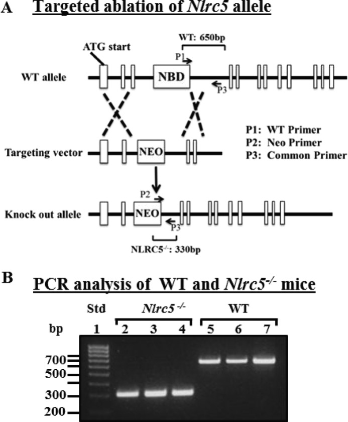 FIGURE 1.