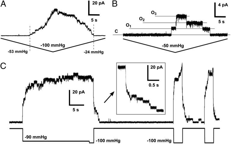 Fig. 4.