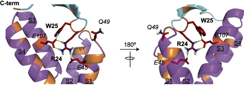 Figure 6