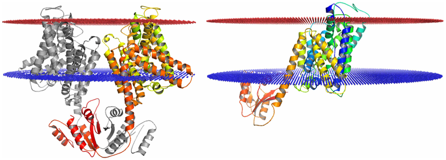 Figure 3.