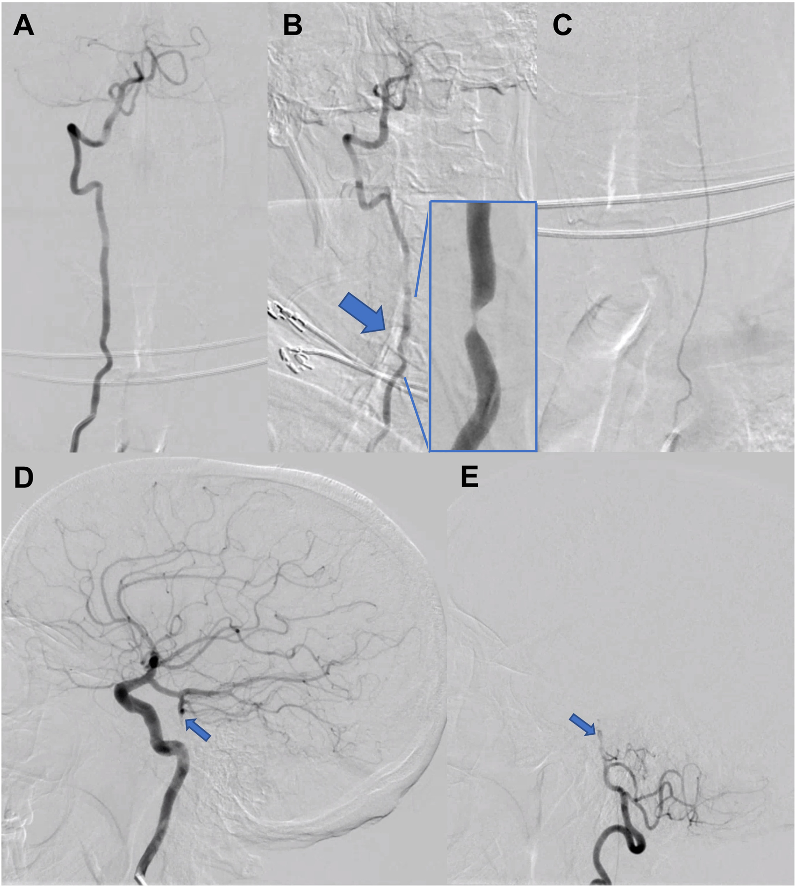 Figure 3.