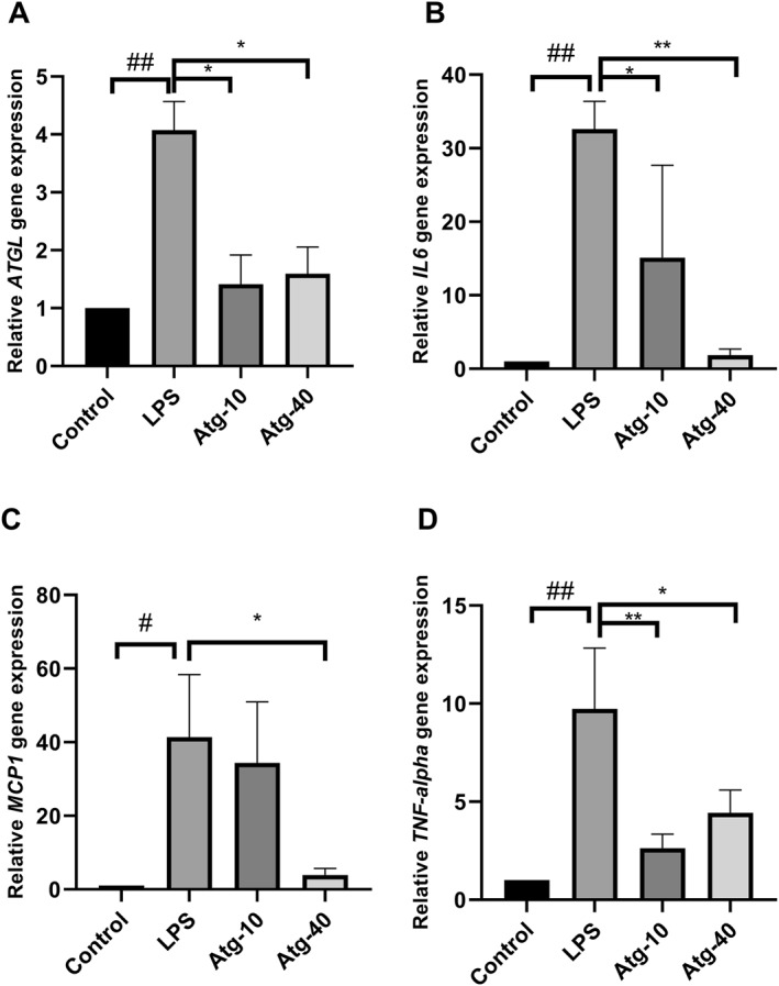 FIGURE 2