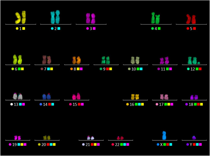 FIGURE 3