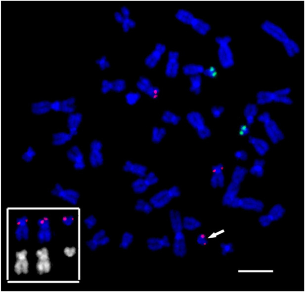 FIGURE 10