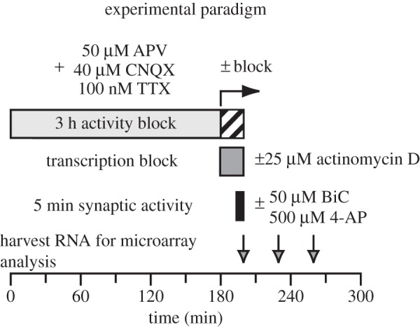 Figure 1.