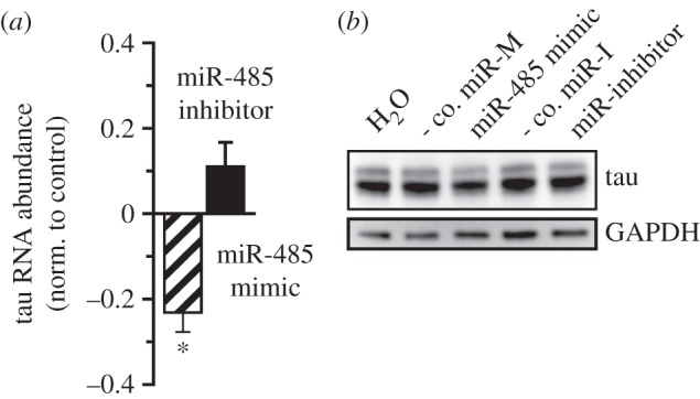 Figure 6.