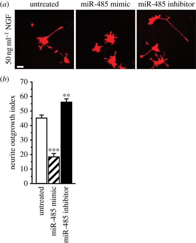 Figure 5.