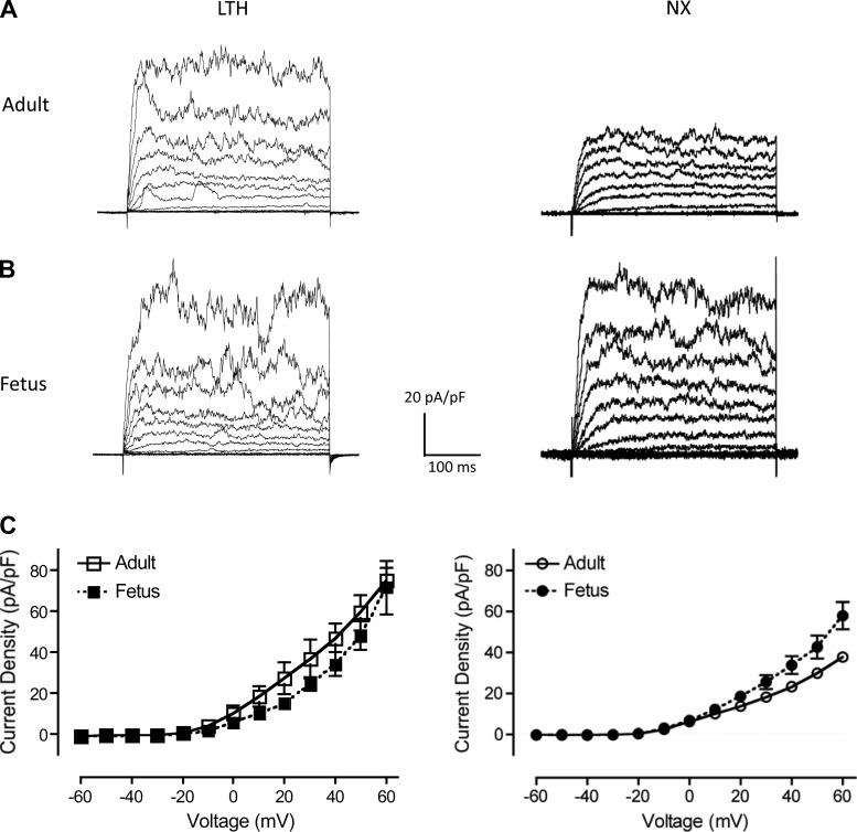 Fig. 10.