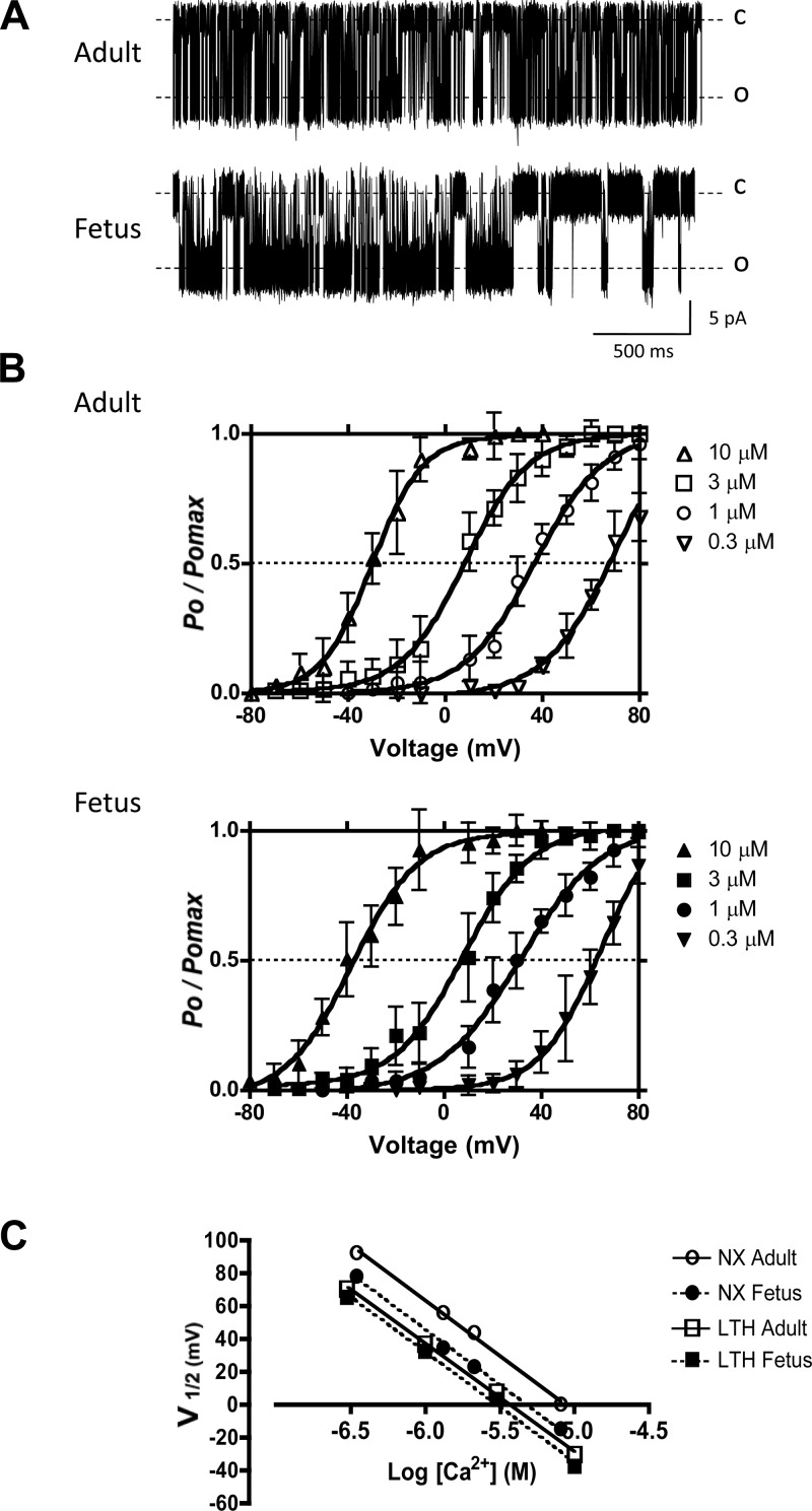 Fig. 2.