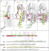 Fig. 2.