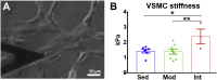 Figure 5