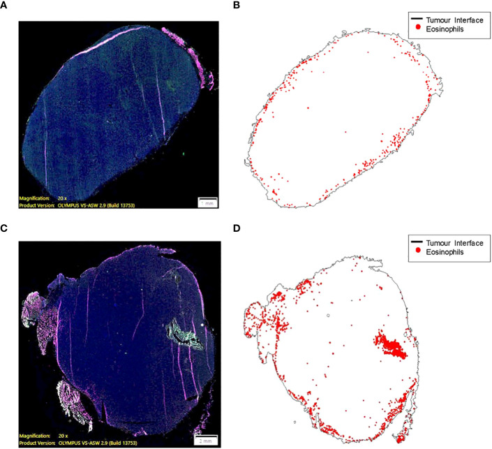 Figure 6