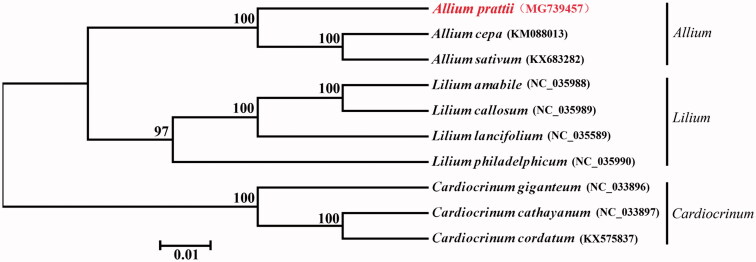 Figure 1.