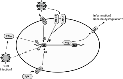 FIG. 6.