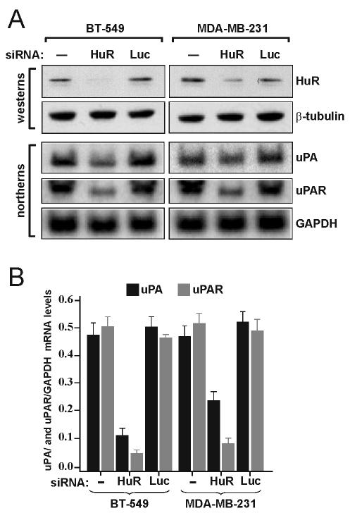 FIG. 5.