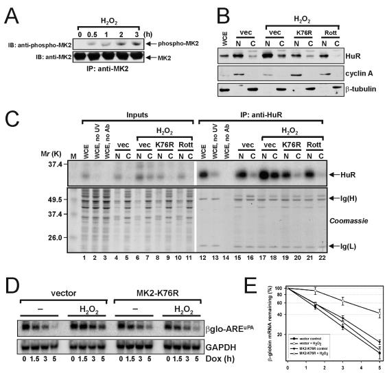 FIG. 8.