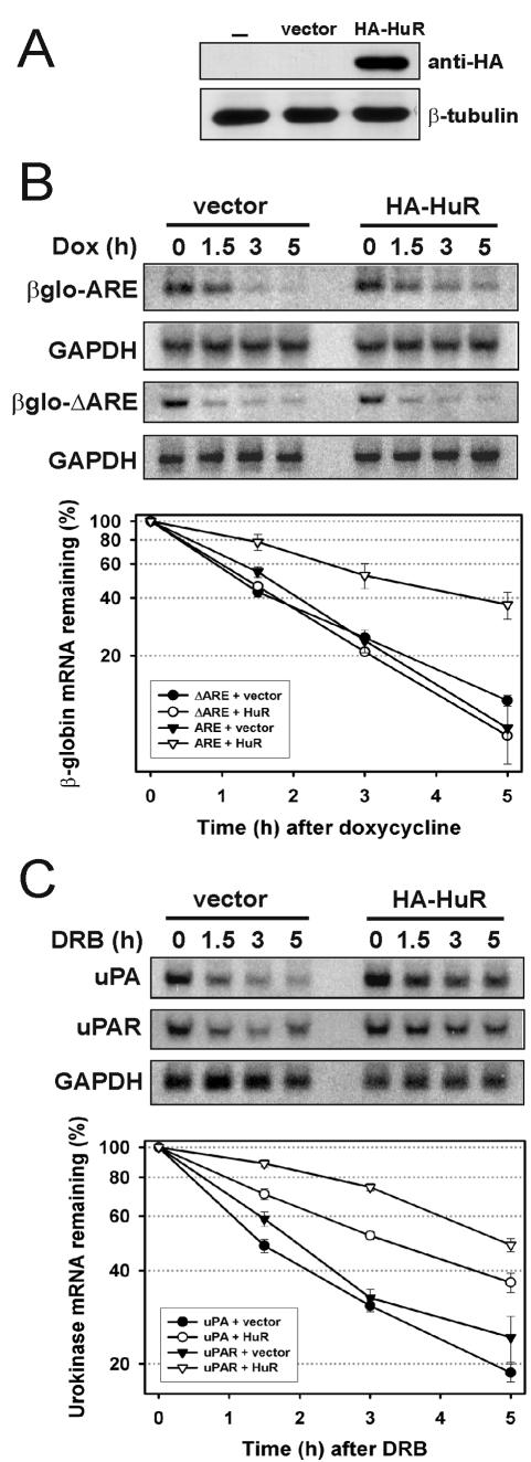 FIG.4.