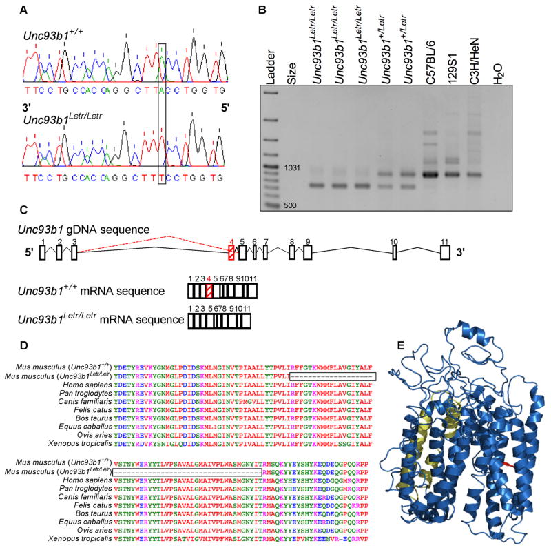 FIGURE 2