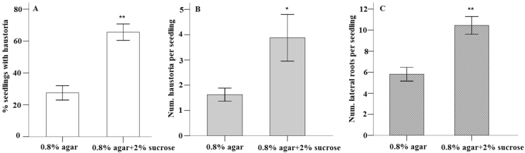 Fig. 3