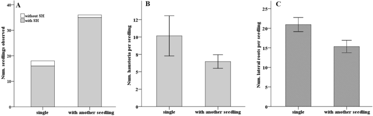 Fig. 4