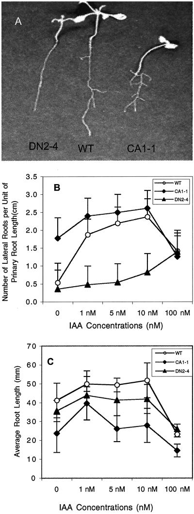 Figure 7