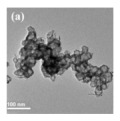 graphic file with name nanomaterials-14-01190-i059.jpg