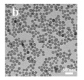 graphic file with name nanomaterials-14-01190-i042.jpg