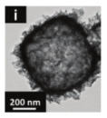 graphic file with name nanomaterials-14-01190-i057.jpg